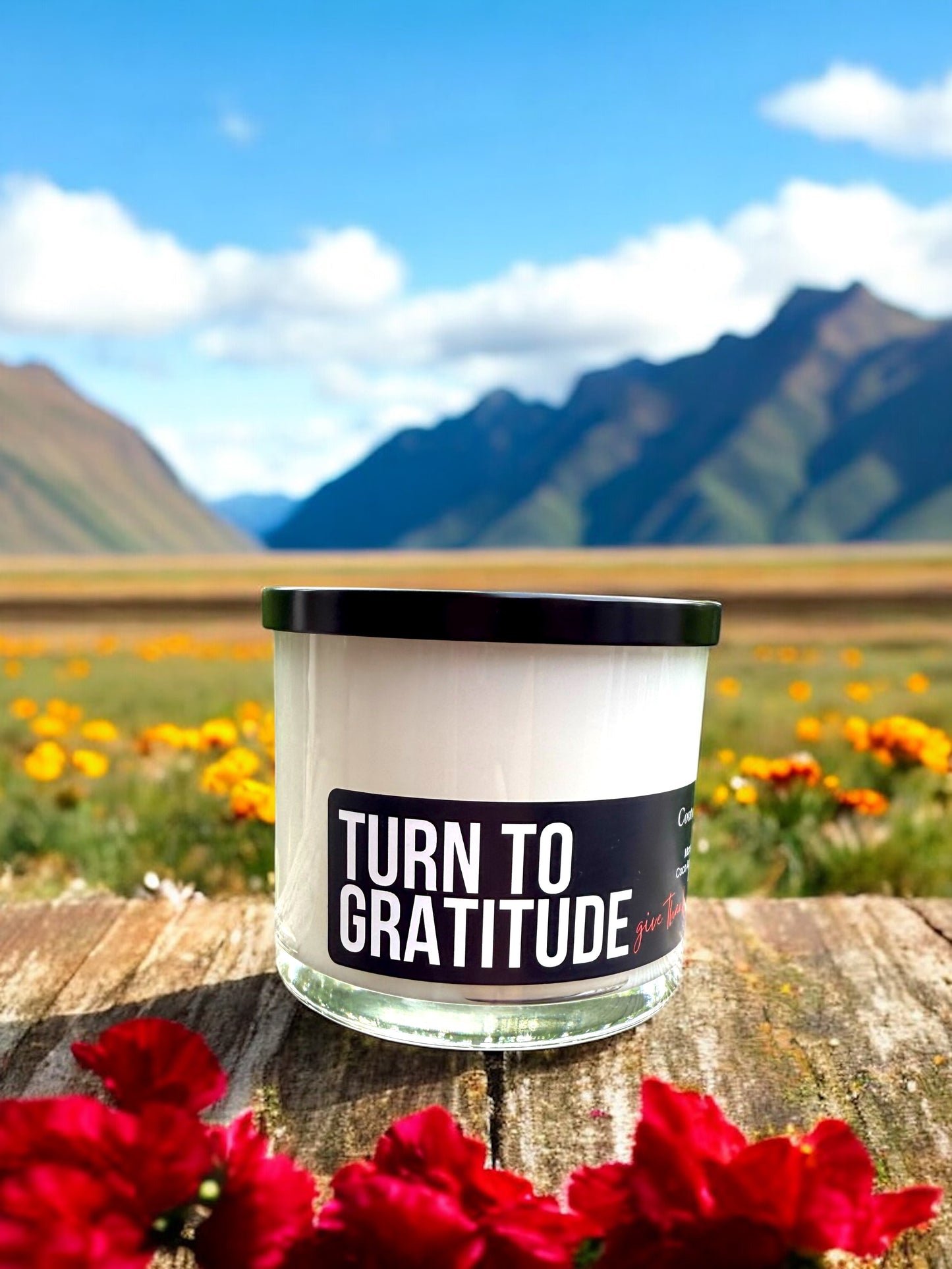 Turn to Gratitude