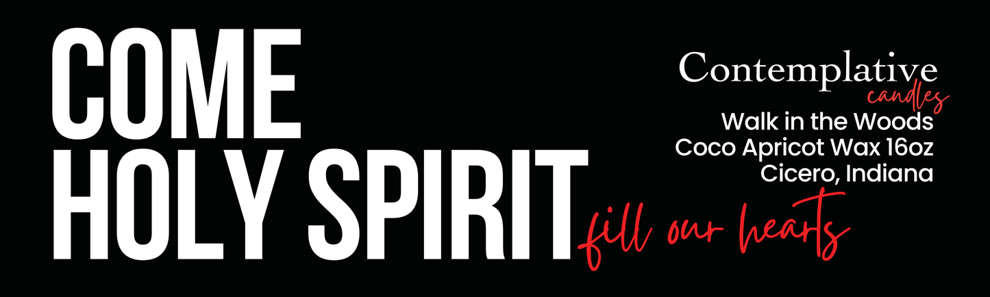 Come Holy Spirit