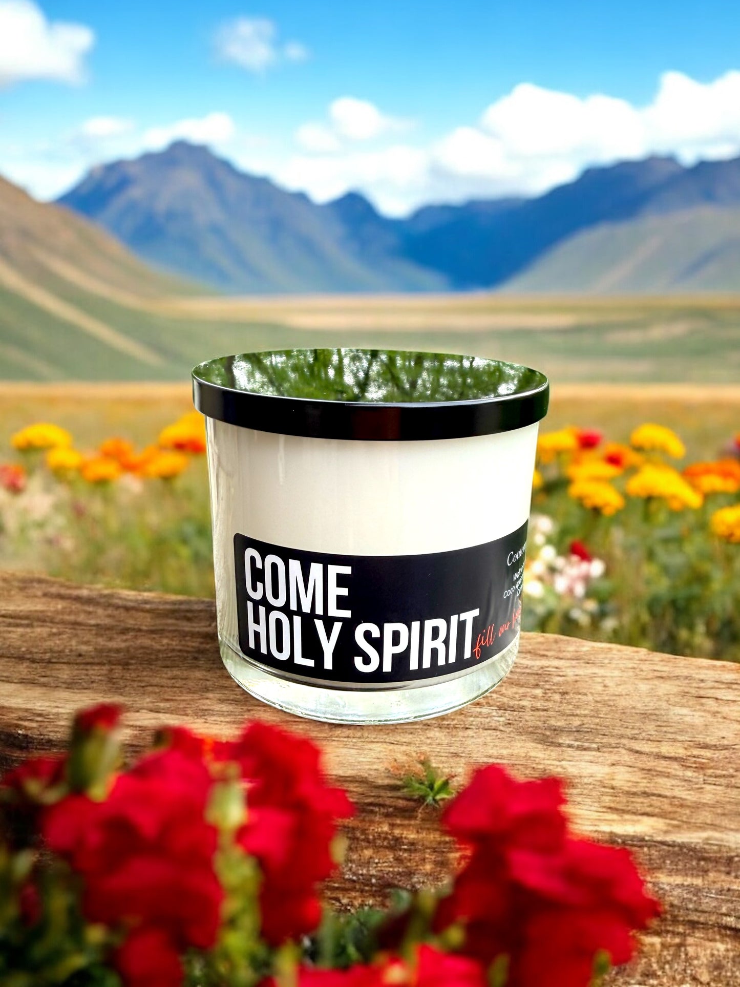 Come Holy Spirit