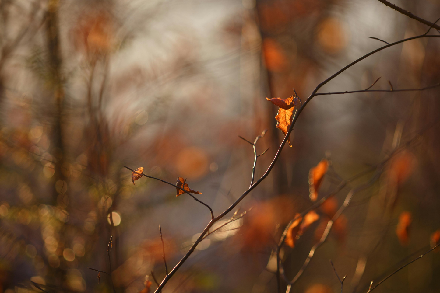 In Your Presence there is Fullness of Joy