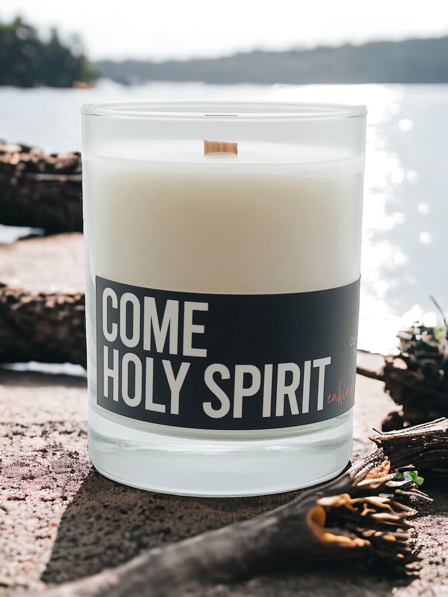 Come Holy Spirit