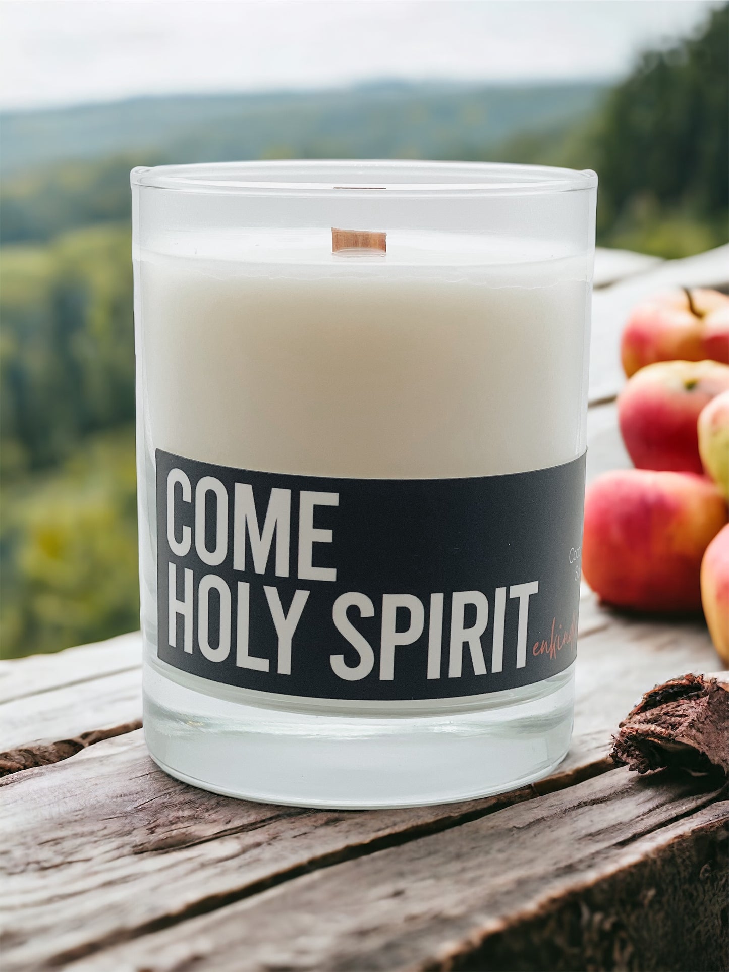 Come Holy Spirit