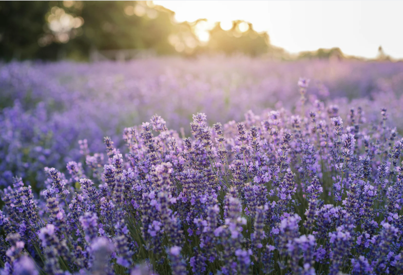 Who grasps your right hand