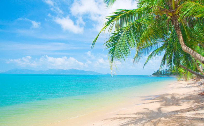 Shhhhhh Moms Praying